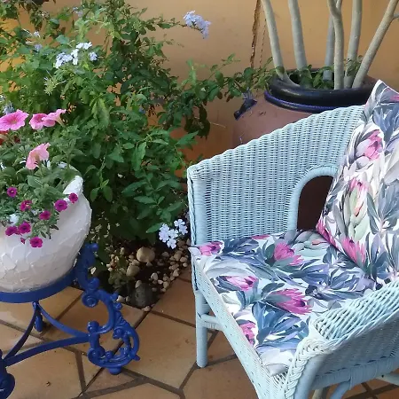 بيت ضيافة Casa De Las Floras *